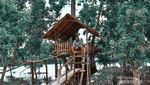 Melihat Surga Kecil dari Sulawesi Tengah