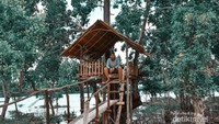 Rumah pohon di Pantai Teluk Damai