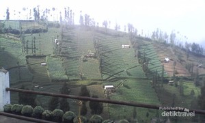 Melihat Teduhnya Bromo di Pagi Hari