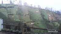 Kabut tipis di lereng Bromo