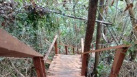 Tangga kayu untuk mencapai Puncak Dafalen Misool