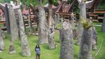 Melihat Toraja Lewat Budaya dan Alamnya yang Indah