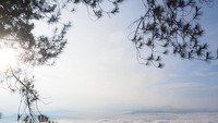 Negeri di Atas Awan