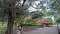Suasana jalan Di Gili Trrawangan