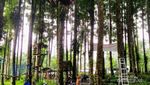 Memacu Adrenalin di Kampung Kurcaci Purbalingga
