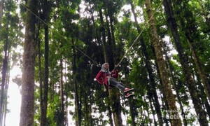 Memacu Adrenalin di Kampung Kurcaci Purbalingga