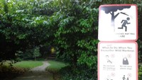 Jalan setapak di dalam Mount Faber