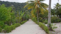 Jalan desa yang bersih dan rapi (dok. Dadang Lesmana/dTraveler)