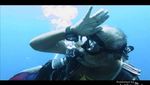 Membangunkan Hiu Tidur di Pulau Komodo
