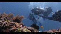 Taman bawah laut Komodo