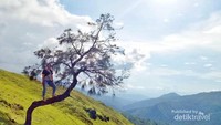 Pemandangan Instagramable.