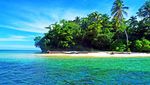 Membidik Ragam Fauna Papua dari Cagar Laut Teluk Cendrawasih
