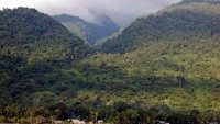 Bukit hijau nan permai yang mengelilingi Teluk Cendrawasih (Sumber: dhony-syach.blogspot.com)