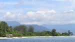 Membidik Ragam Fauna Papua dari Cagar Laut Teluk Cendrawasih