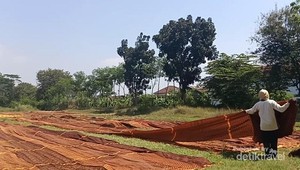 Memborong Batik di Pekalongan Dapat Bonus Sate KTL