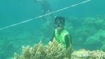 Membuktikan Pesona Surga Kepulauan Anambas