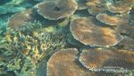 Membuktikan Pesona Surga Kepulauan Anambas