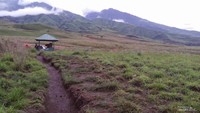 Savana menuju Sembalun