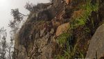 Memeluk Sekujur Tanah dan Pasir Rinjani