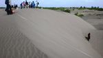 Memotret Gurun Sahara di Yogyakarta