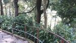 Menaiki 1.250 Anak Tangga Demi Air Terjun Grojogan Sewu