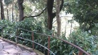 Tangga menuju air terjun