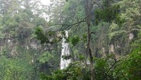 Mengintip Air Terjun di balik dedaunan