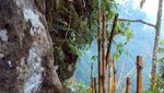 Menakjubkan! Air Terjun Tumpak Sewu, Niagara-nya Indonesia