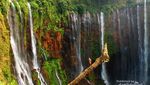 Menakjubkan! Air Terjun Tumpak Sewu, Niagara-nya Indonesia