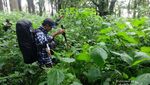 Menaklukan Badai Untuk Gapai Puncak Gunung Tambora