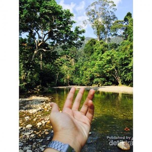 Menaklukkan Alam Liar di Tangkahan, Sumatera Utara