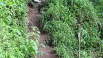 Menaklukkan Ketinggian 1726 Mdpl Gunung Andong