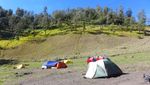 Menanjak ke Ranu Kumbolo, Primadona Semeru yang Rupawan