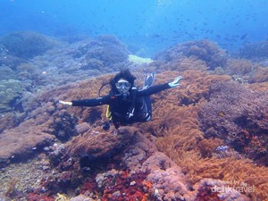 Menantang Arus di Mangrove Nusa Lembongan, Bali