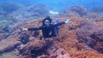 Menantang Arus di Mangrove Nusa Lembongan, Bali