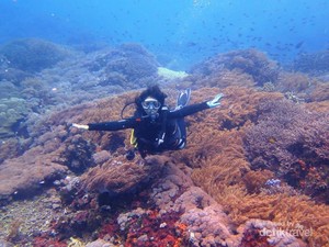 Menantang Arus di Mangrove Nusa Lembongan, Bali