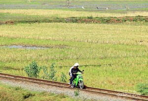 Menantang Bahaya, Naik Motor di Rel Kereta
