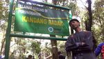 Menantangnya Tracking di Gunung Gede
