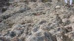 Menanti Awan Bergelung di Puncak Sinabung
