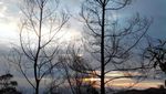 Menanti Golden Sunrise di Puncak Sikunir
