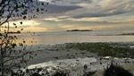 Menanti Senja di Tembok Berlin, Sorong
