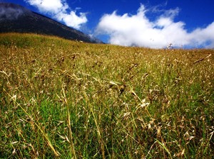 Menapaki Keajaiban di Setiap Langkah Pendakian Rinjani
