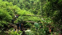 Jalan menuju ke air terjun