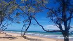 Menapaki Padang Pasir di Pantai Oetune, NTT