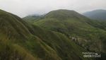 Menapaki Permadani Hijau di Bukit Jalin, Aceh