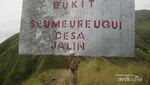 Menapaki Permadani Hijau di Bukit Jalin, Aceh