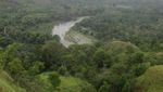 Menapaki Permadani Hijau di Bukit Jalin, Aceh