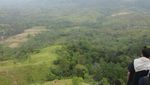 Menapaki Permadani Hijau di Bukit Jalin, Aceh