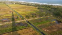 Bayangan Menara Suar Ketawang terlihat jelas di area bercocok tanam warga