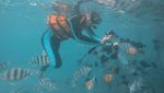 Menari Bersama Penyu di Derawan